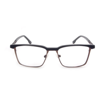 Plato in Russet Eyeglasses - sightonomy